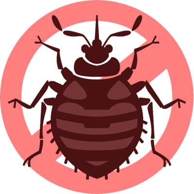 Get rid of bed bugs