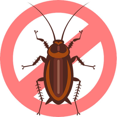 eliminate cockroaches